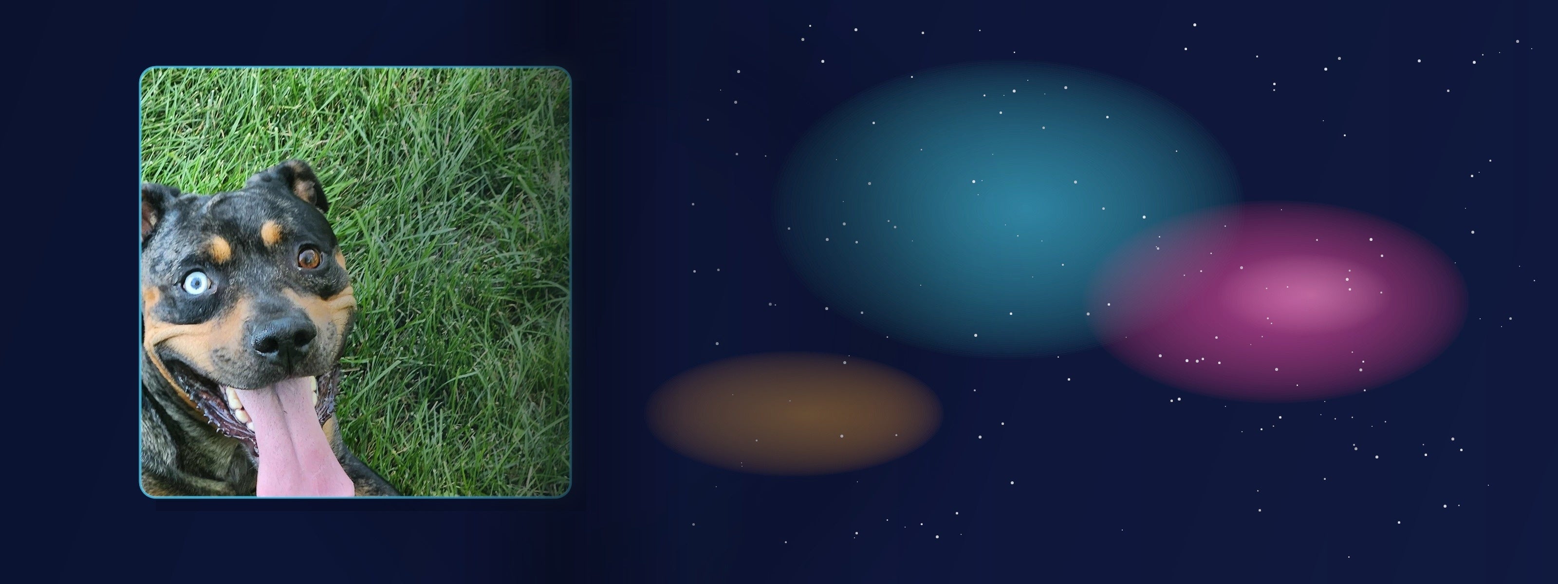 Aurora smiling in the grass