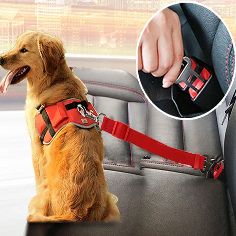 The Roadtrip Tether