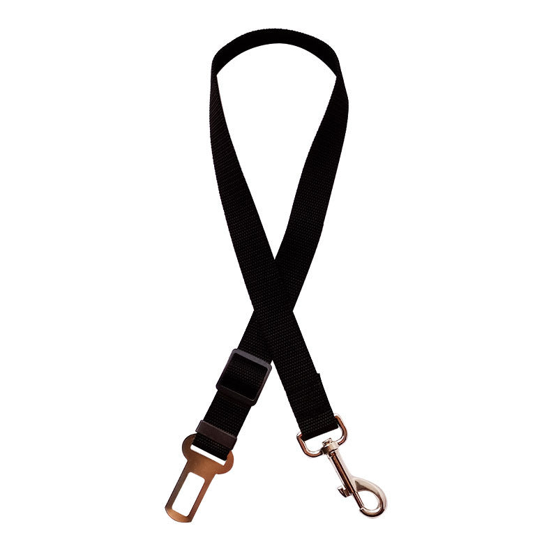 The Roadtrip Tether