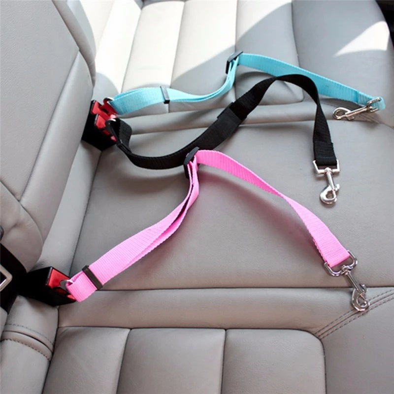 The Roadtrip Tether