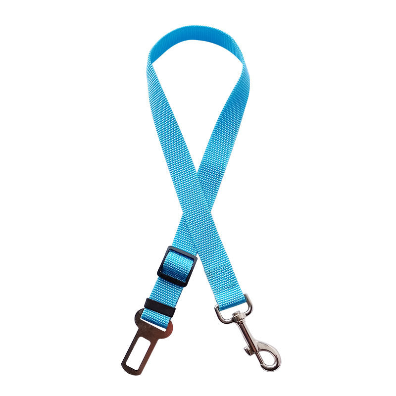 The Roadtrip Tether