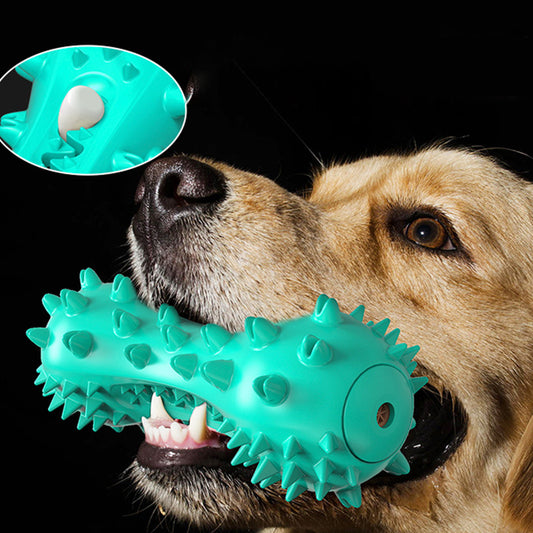 The Toothbrush Disguise