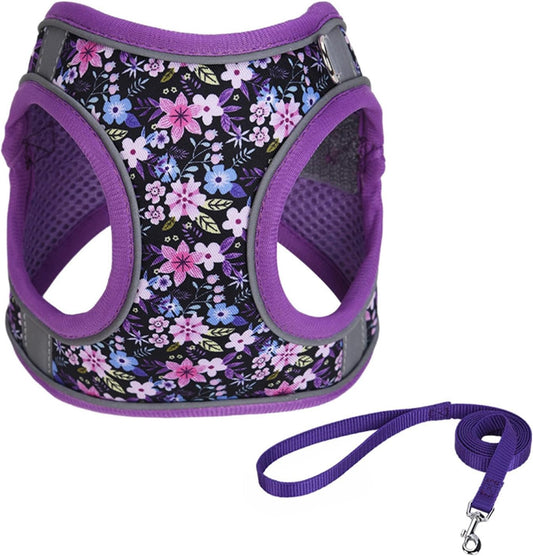 The Anti-Yank Harness